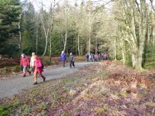 WWT_Tag_2_-_1_von_18_11 WWT_Tag_2_-_1_von_18_11