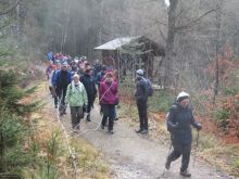 WWT_Tag_2_-_1_von_18_15 WWT_Tag_2_-_1_von_18_15