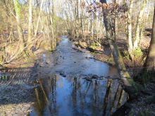 WWT_Tag_4_-_1_von_25_17 WWT_Tag_4_-_1_von_25_17