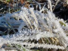 WWT_Tag_4_-_1_von_25_8 WWT_Tag_4_-_1_von_25_8