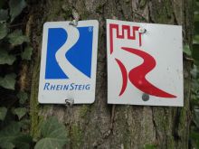 IMG_2664 IMG_2664