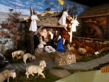 WWT_Tag_5_-_1_von_14_5 WWT_Tag_5_-_1_von_14_5