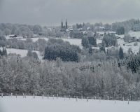DSC00600
