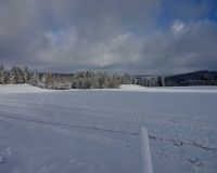 DSC00605