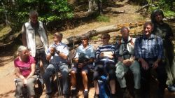 e53ef048-f151-40e4-9d4c-f6dcf55c6a5a