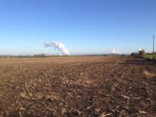 IMG_1690 IMG_1690
