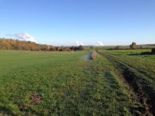 IMG_1691 IMG_1691
