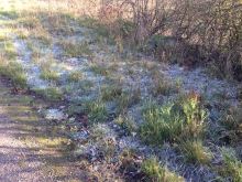 IMG_1693 IMG_1693