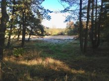 IMG_1695 IMG_1695