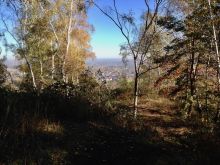 IMG_1700 IMG_1700