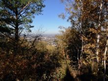 IMG_1702 IMG_1702