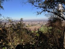 IMG_1704 IMG_1704