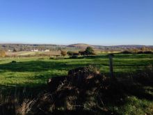 IMG_1710 IMG_1710