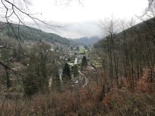 IMG_3039 IMG_3039
