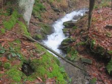 IMG_6069 IMG_6069