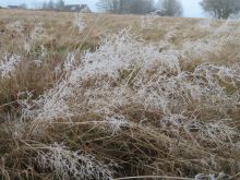 IMG_6095 IMG_6095