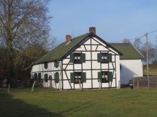 IMG_6116 IMG_6116