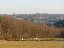 IMG_6139 IMG_6139