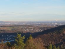 IMG_6159 IMG_6159