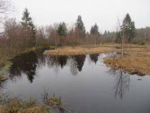 IMG_6207 IMG_6207