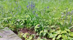 runtastic2019-05-08_11_37_24_333