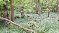 runtastic2019-05-08_13_24_37_552