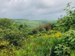 image_33 image_33