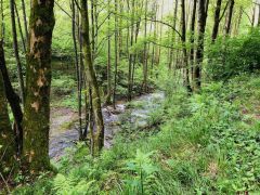 image_35 image_35