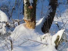 IMG 4712